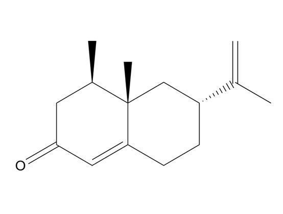 諾卡酮