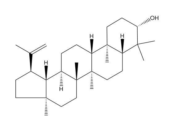 羽扇豆醇