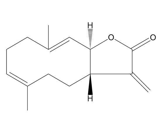 木香烴內酯