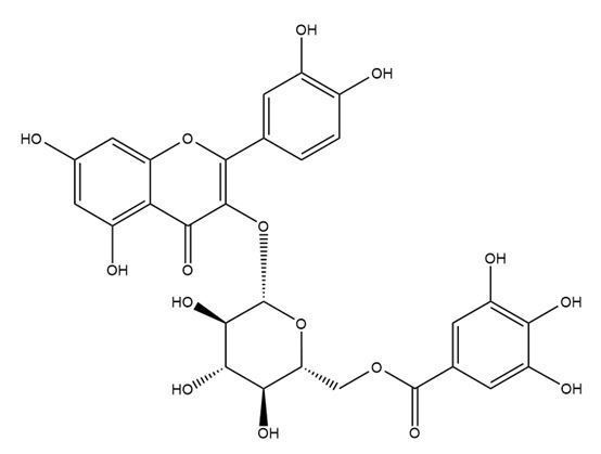 槲皮素-3-O-(6″-沒食子酰基)-β-D-葡萄糖苷