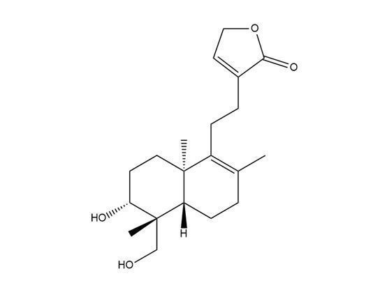 去氧穿心蓮內酯